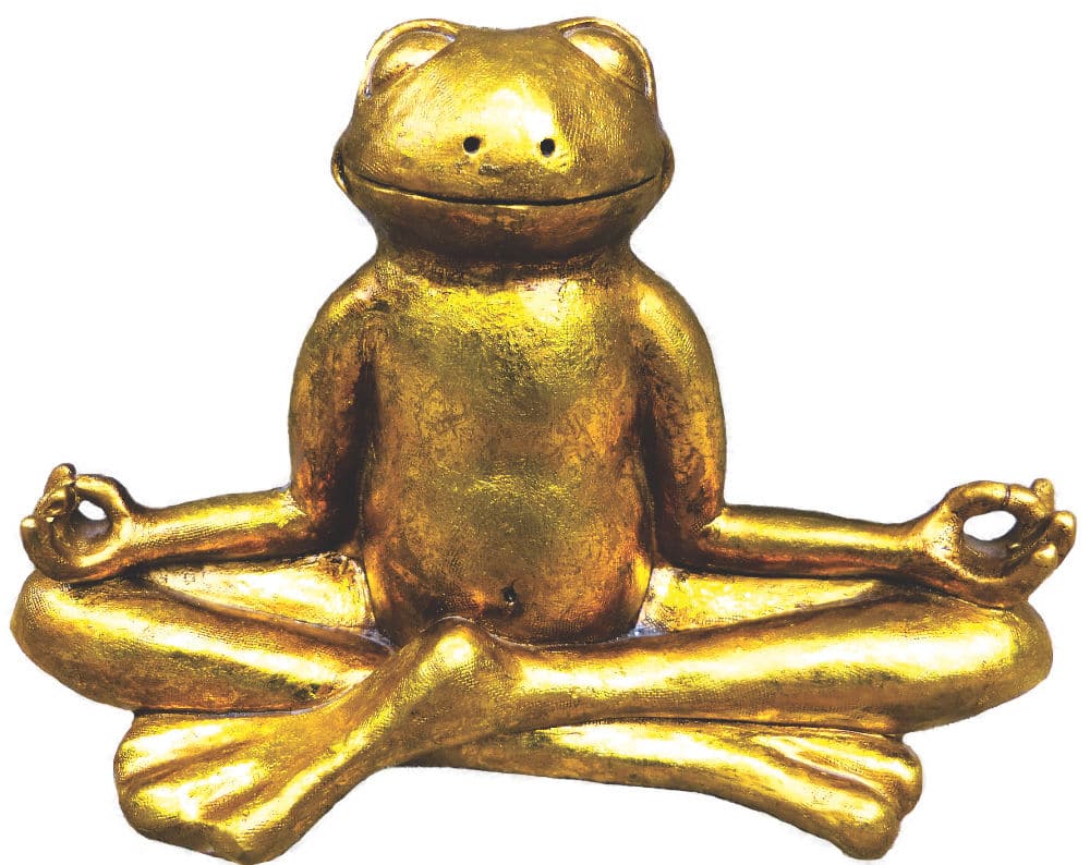 Der fabelhafte Klang der Nieren_Bild Goldfrosch meditierend